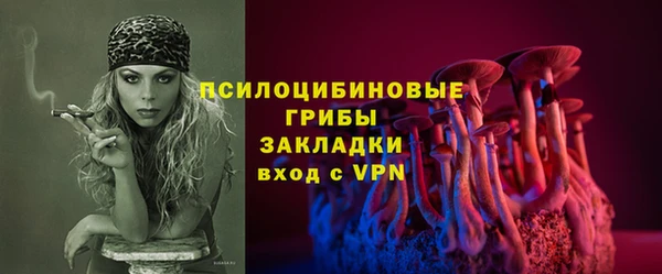 гашик Алексеевка