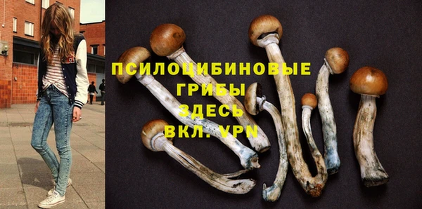 гашик Алексеевка