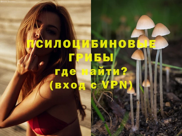 герыч Алзамай