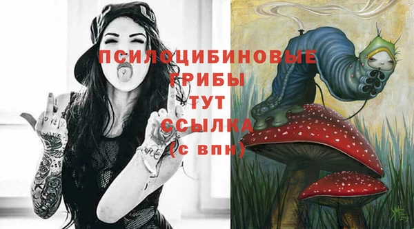 гашик Алексеевка