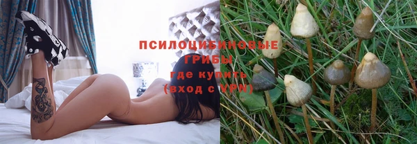 герыч Алзамай