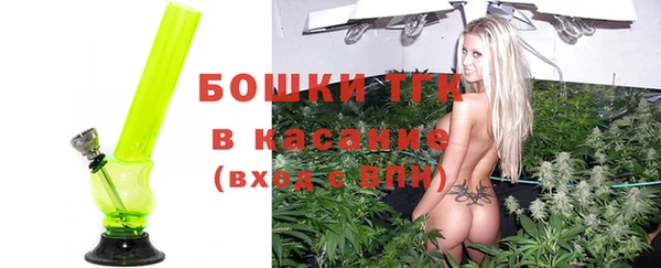 гашик Алексеевка