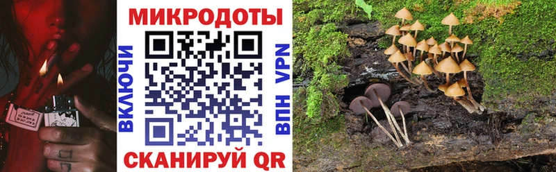 сайты даркнета клад Челябинск Галлюциногенные грибы Cubensis
